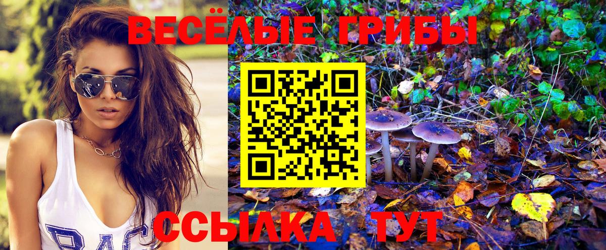 цена   Вход с VPN  Галлюциногенные грибы Psilocybine cubensis  Новотроицк  Псилоцибиновые грибы MAGIC MUSHROOMS 